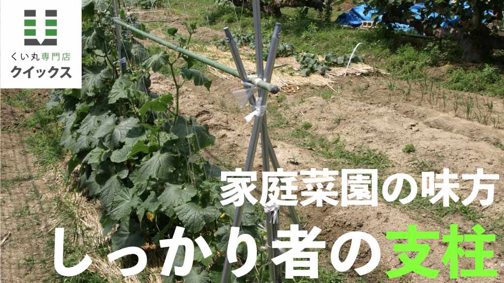 家庭菜園の味方　しっかり者の「くい丸」支柱